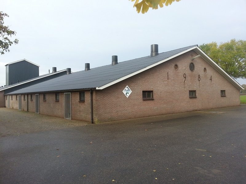 Vervangen asbestdak te Kootwijkerbroek